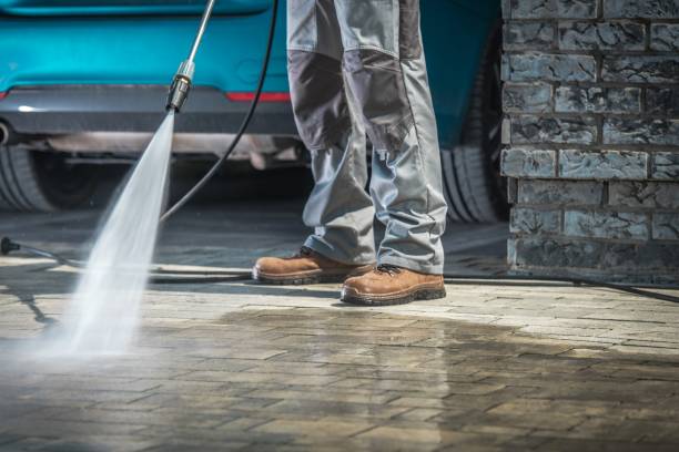 Best Pre-Holiday Cleaning  in Alamo, TX