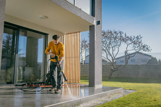 Best Gutter Cleaning  in Alamo, TX